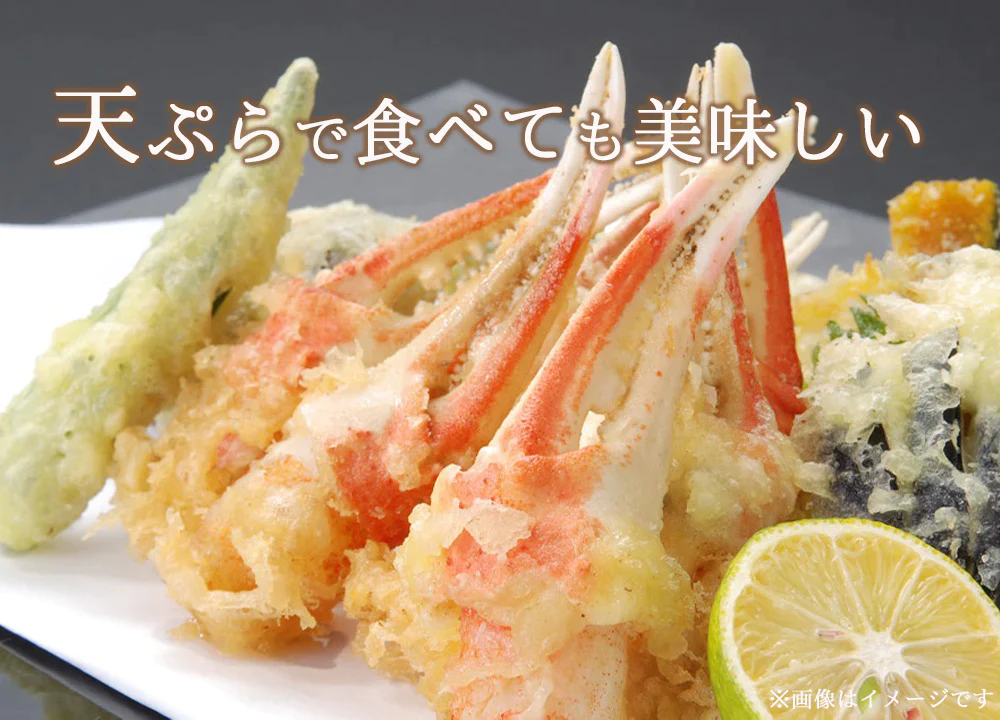 ズワイガニ 7L ずわい蟹 ボイルズワイ蟹 カニ爪 500g 送料無料 カニ爪ポーション 蟹爪 かにつめ むき爪 カニしゃぶ カニ鍋 shr-024