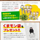 熊本 みかん 訳あり 9kg 熊本県産 熊本 小玉 不選別 みかん 家庭用 送料無料 早生 ミカン フルーツ お取り寄せ 柑橘 フルーツ 果物  《10月中旬-11月中旬に出荷予定》