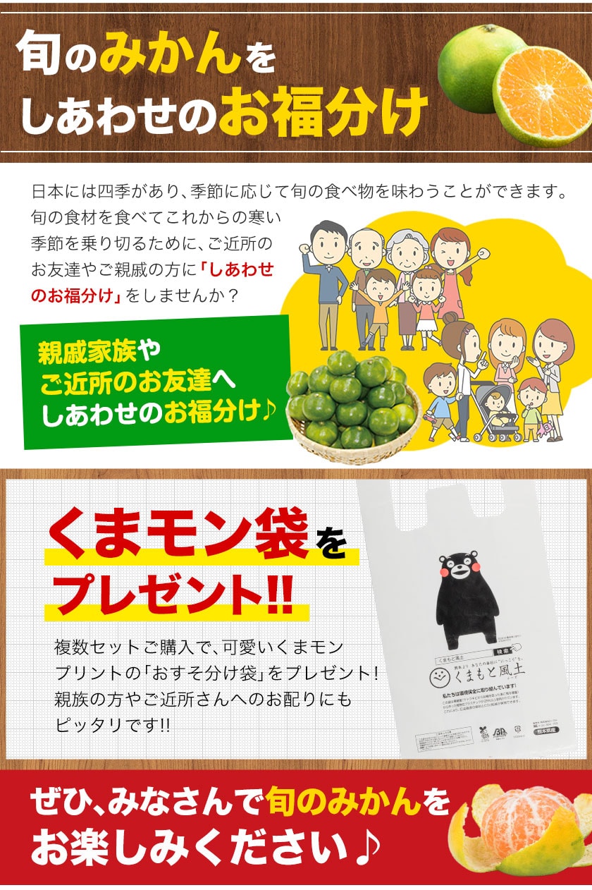 熊本 みかん 訳あり 9kg 熊本県産 熊本 小玉 不選別 みかん 家庭用 送料無料 早生 ミカン フルーツ お取り寄せ 柑橘 フルーツ 果物  《10月中旬-11月中旬に出荷予定》