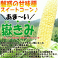 青森県産 嶽きみ 5本セット 真空フレッシュパック