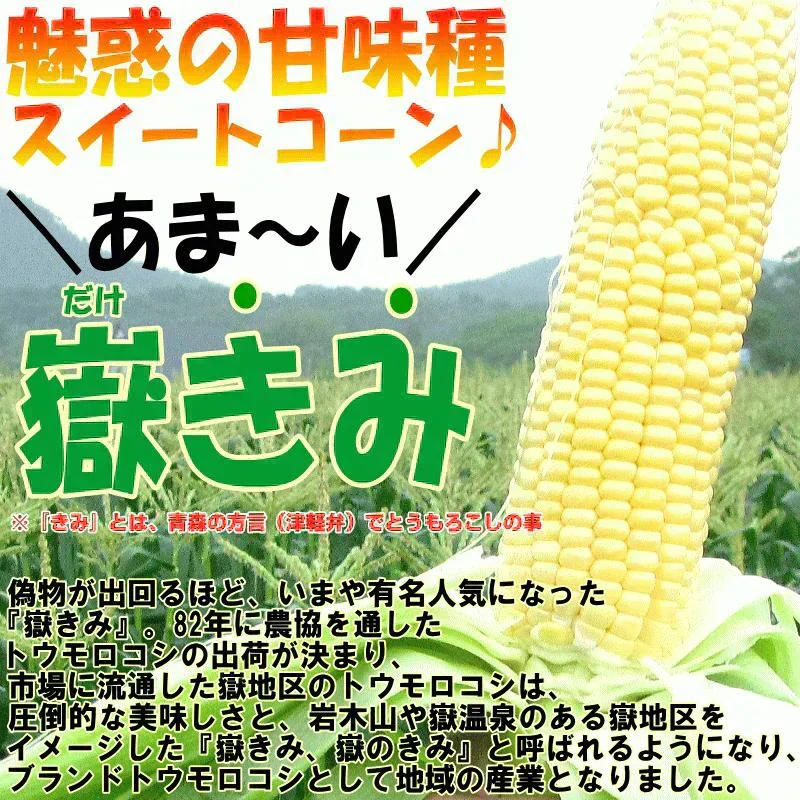 青森県産 嶽きみ 5本セット 真空フレッシュパック