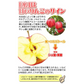 りんご 蜜入りサンふじ 山形産 10kg （発送予定：12月上旬より）