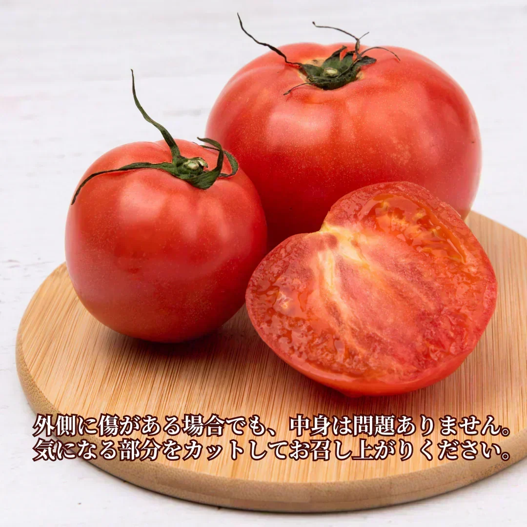 【予約商品・2026年10月初旬ごろ順次発送～2027年2月末までに発送】国産！家計応援価格！規格外品 中～大玉トマト 約500g（最低300g以上）(2玉～6玉) 【カウシェファーム収穫対象商品】