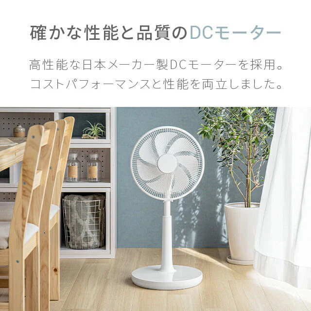 グレー 【1年保証】 DC扇風機 リモコン付き おしゃれ 送料無料 リビング扇風機 リビングファン DCファン DCモーター パワフル 強力 自動首振り 風量調節 高さ調整 自動OFFタイマー 液晶パネル 静音 省エネ AND・DECO アンドデコ