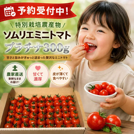 予約【2026年12月前後～2027年2月28日までに順次発送】＼特別栽培農産物／ソムリエミニトマト　プラチナ　３００ｇ（補償100g込み）※補償分以上の不良は交換対応可能【カウシェファーム収穫対象商品】