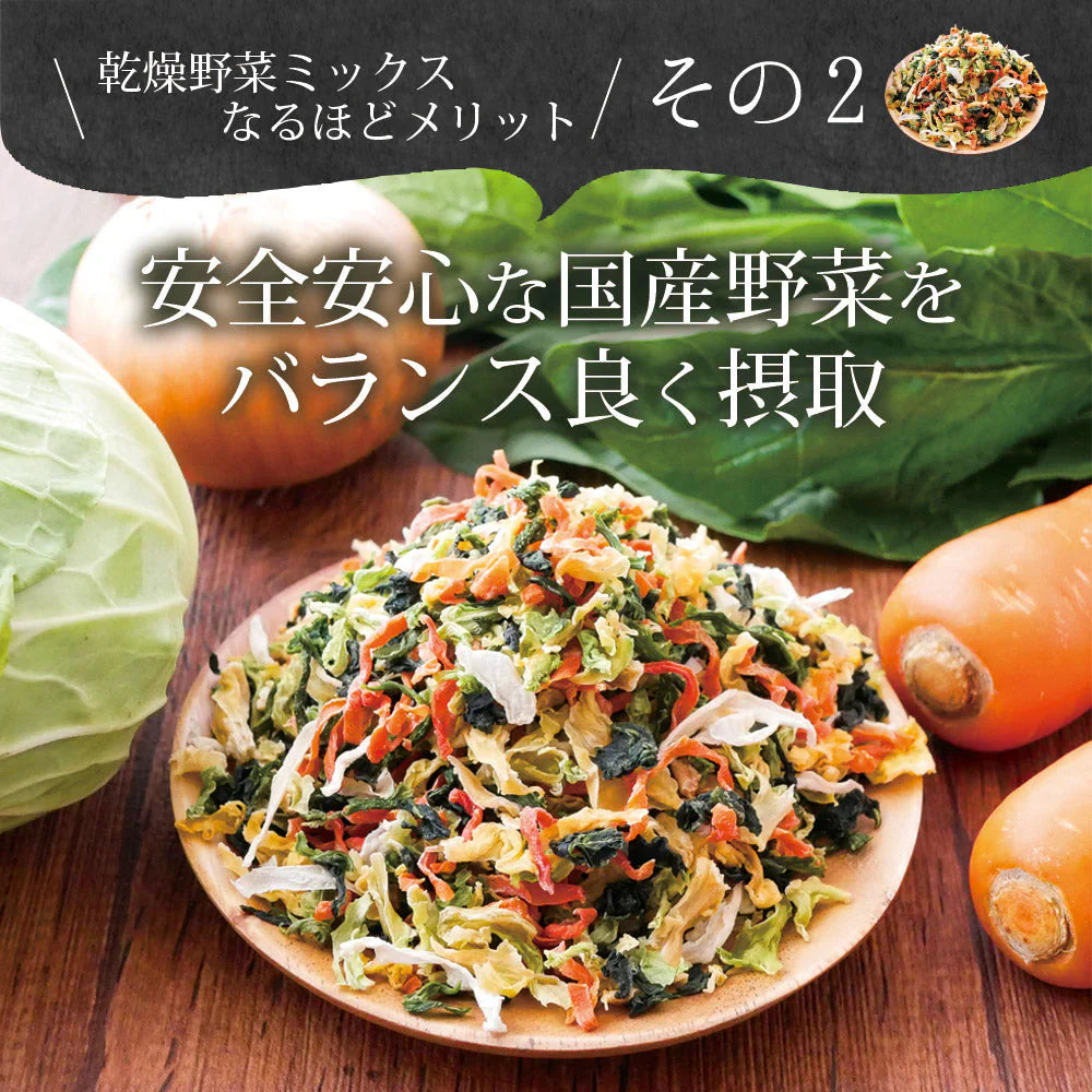 日本橋いなば園 九州産野菜使用 乾燥野菜ミックス 100g ネコポス メール便送料無料