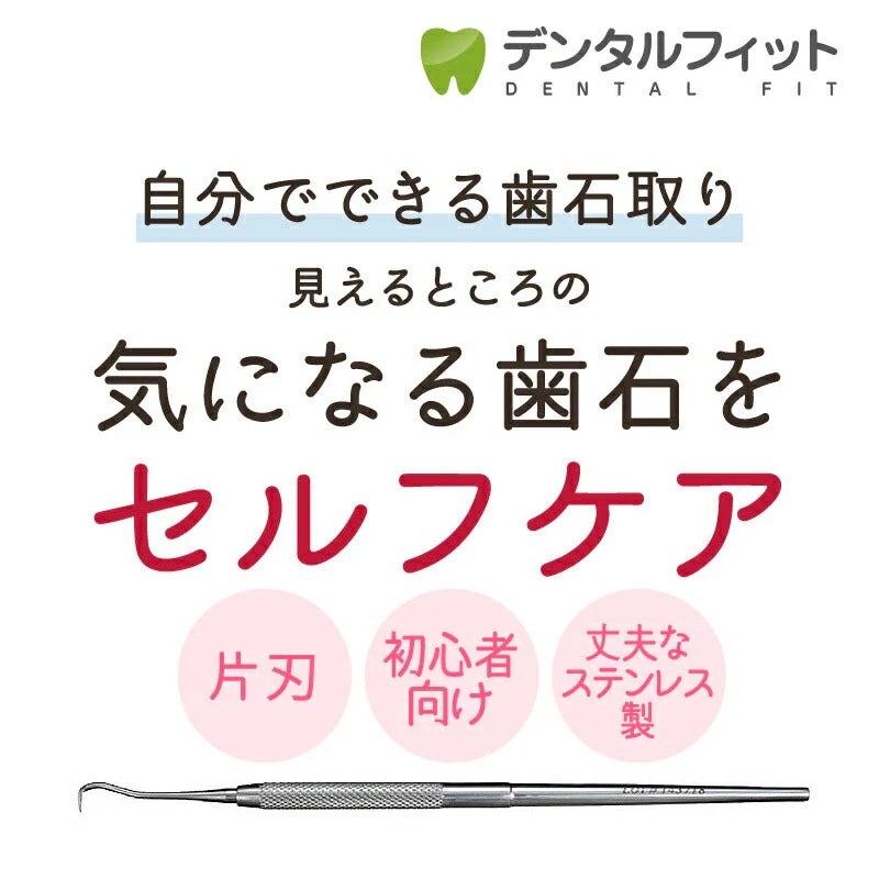 片頭（片刃）スケーラー #33 【歯石取り】【歯垢取り】【ヤニ取り】【メール便送料無料】