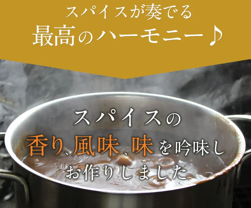 2種ビーフカレー５食セット大阪風あまからビーフカレー3袋＋野菜もしっかりビーフカレー2袋【ご新規さん限定商品】