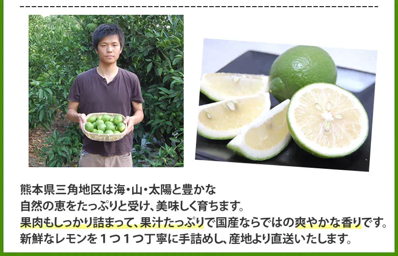 【9月下旬～10月上旬頃より順次出荷】レモン 国産レモン 送料無料 4kg 2S～L  熊本県産 減農薬 防腐剤ワックス不使用 れもん グリーンレモン 国産