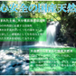 シリカ強炭酸水500ml×24本　大分県玖珠町採水 刺激強めの強炭酸！※エコボトル ラベルなし