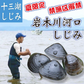 【期間限定】青森十三湖産 岩木川河口 禁漁区解禁 しじみ貝(活) 大粒 1kg