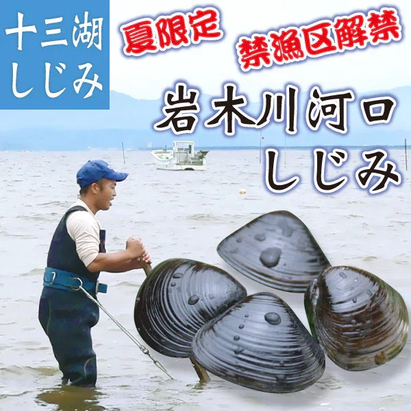 【期間限定】青森十三湖産 岩木川河口 禁漁区解禁 しじみ貝(活) 大粒 1kg