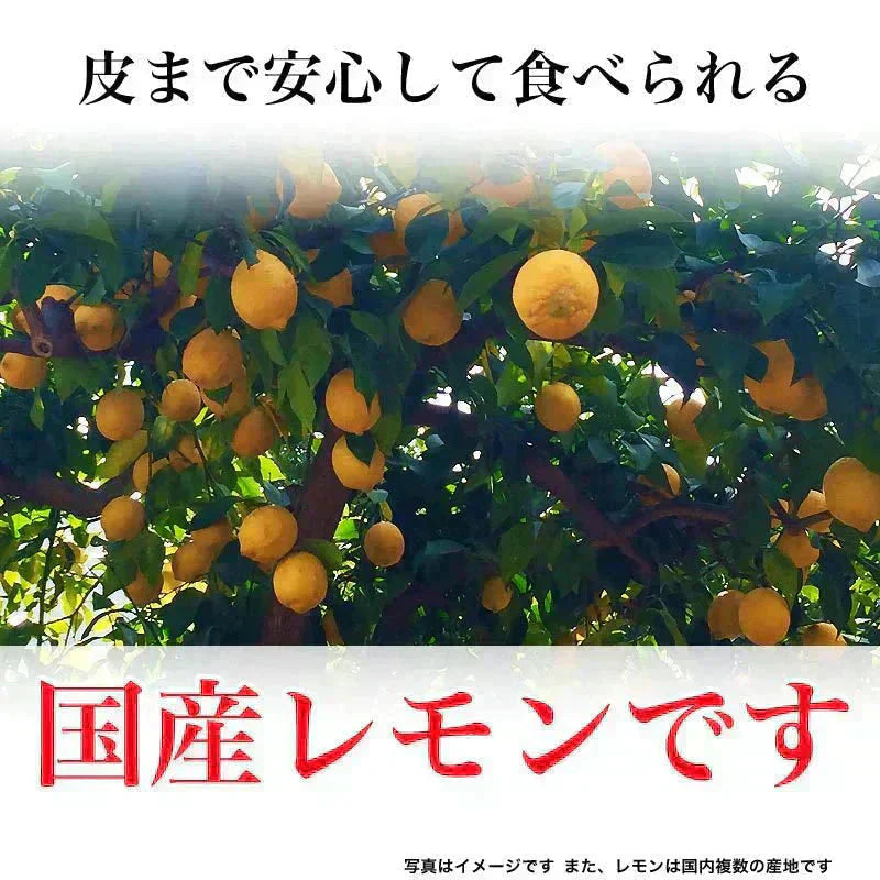国産 輪切り レモン 450g×1袋 ドライフルーツ 砂糖あり 皮付き 送料無料 メール便限定