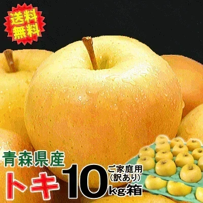 10月9日～発送！青森県産 りんご トキ 10kg箱 家庭用/訳あり ★トキ 家訳 10kg箱