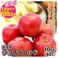 ジョナゴールド 青森産 10kg（発送予定:9月上旬より）