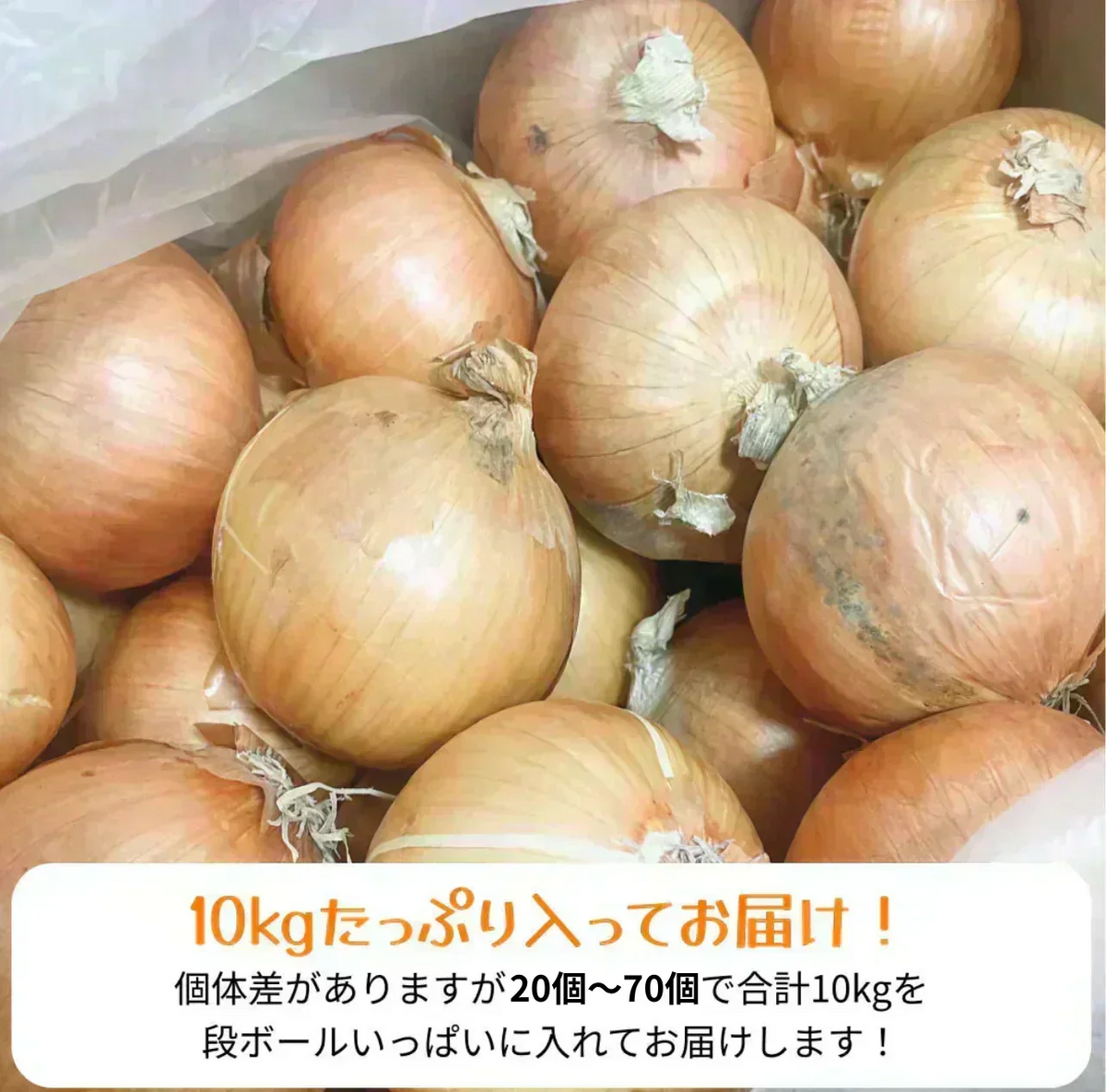 【有名飲食店 / ホテルも愛用】つやつやたまねぎ 10kg 野菜 根菜 玉葱 玉ねぎ タマネギ サラダ 市場 果物 料理 カレー 惣菜 ギフト