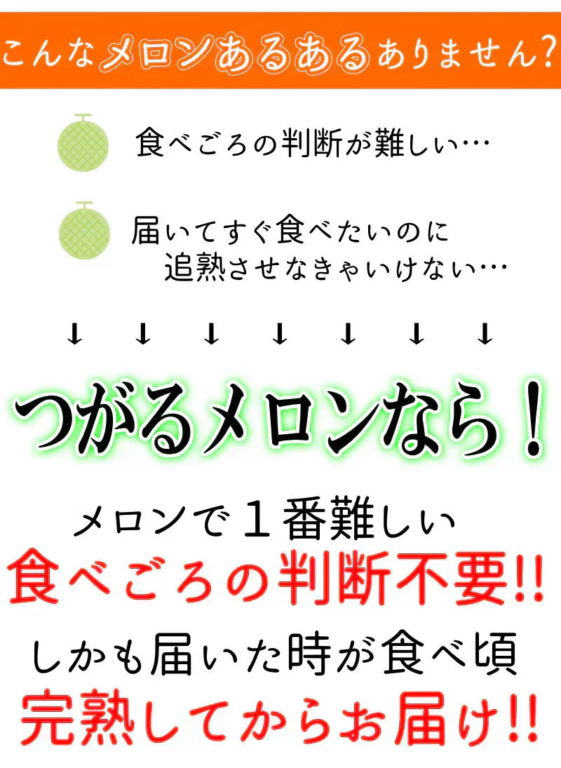 【冷蔵便】青森県産 つがるメロン 2玉(優～秀品 1玉約1.0kg～1.2kg×2玉入り)