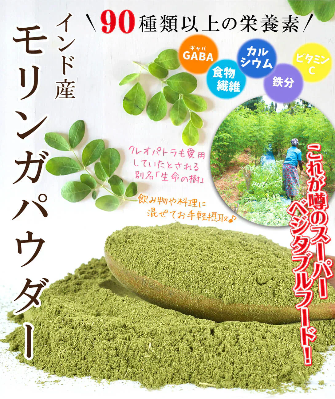 インド産 モリンガパウダー 100g×1袋 パウダー（2月下旬より順次発送）