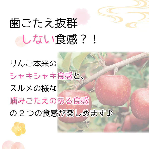 【しないりんご 紅玉４0g×2】 青森県産 乾燥りんご しないりんご 紅玉４0g×2