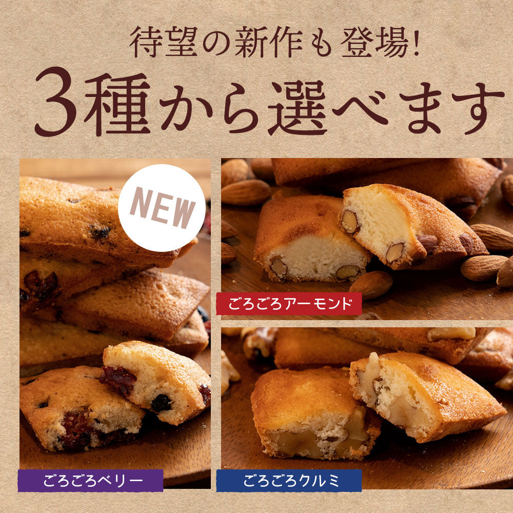 フィナンシェ 個包装 送料無料 【神明パティシエ監修】選べる ごろごろアーモンド or ごろごろクルミ or ごろごろベリー 12個  [ 詰め合わせ ギフト スイーツ 焼き菓子 セット お取り寄せ おしゃれ ナッツ くるみ アーモンド ベリー ]