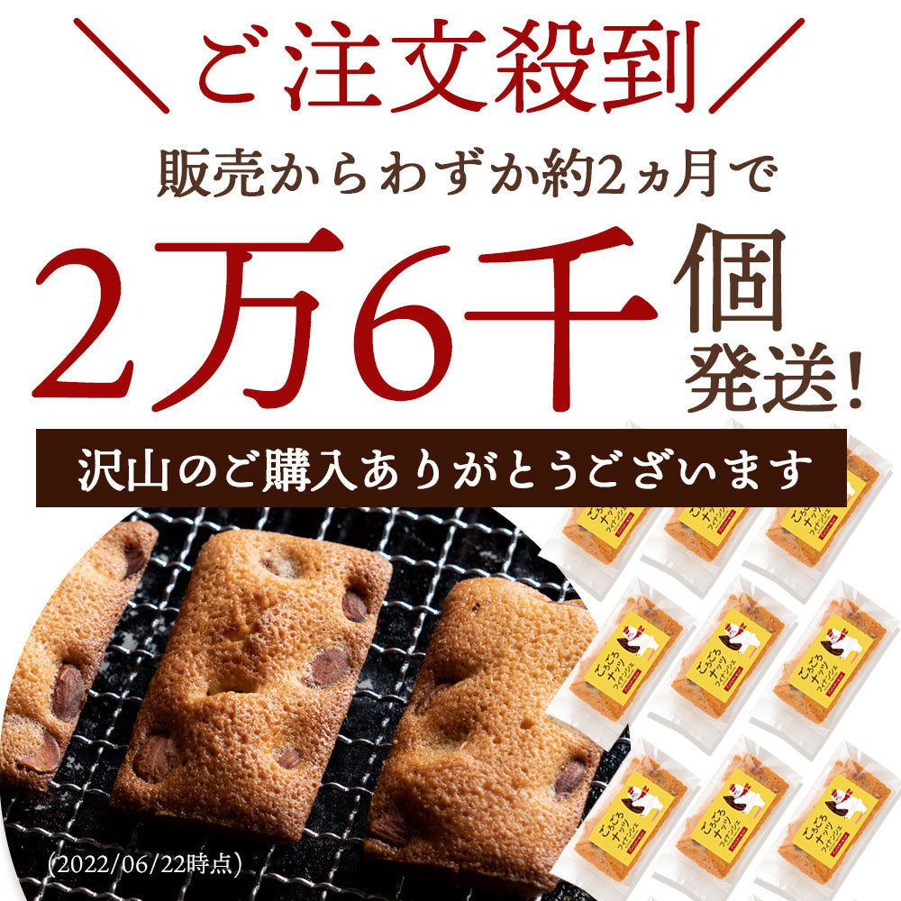 フィナンシェ 個包装 送料無料 【神明パティシエ監修】選べる ごろごろアーモンド or ごろごろクルミ or ごろごろベリー 12個  [ 詰め合わせ ギフト スイーツ 焼き菓子 セット お取り寄せ おしゃれ ナッツ くるみ アーモンド ベリー ]