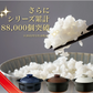 菊花 ごはん土鍋 2合 瑠璃【ゲリラセール】
