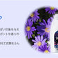 (サンライズフレッシュ)ダウニー 柔軟剤 4L×3本セット 濃縮タイプ 4000ml アジアンダウニー Downy 4L 衣料用柔軟剤 ベトナムダウニー
