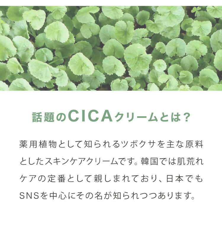 日本製 CICA ヒトハリ スペシャルクリーム 50g ヒト幹細胞 CICAクリーム シカ cicaクリーム シカクリーム パック 高保湿 フェイスクリーム ツボクサエキス 針クリーム スピキュール