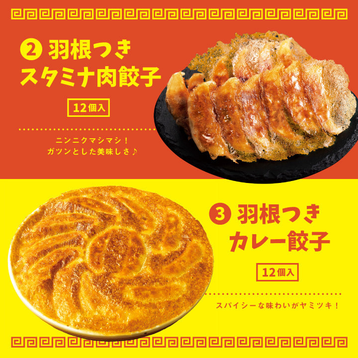 おうちで餃子パーティセット