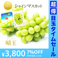 【超得ハイパーSALE】【9月上旬順次発送】送料無料 岡山産 シャインマスカット 晴王 訳あり 1房600グラム ぶどう ギフト お供え プレゼント 贈り物 お土産 シャインマスカット晴王