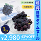 【超得ハイパーSALE】種なし巨峰（2-4房 1kg程度）【ゲリラセール】