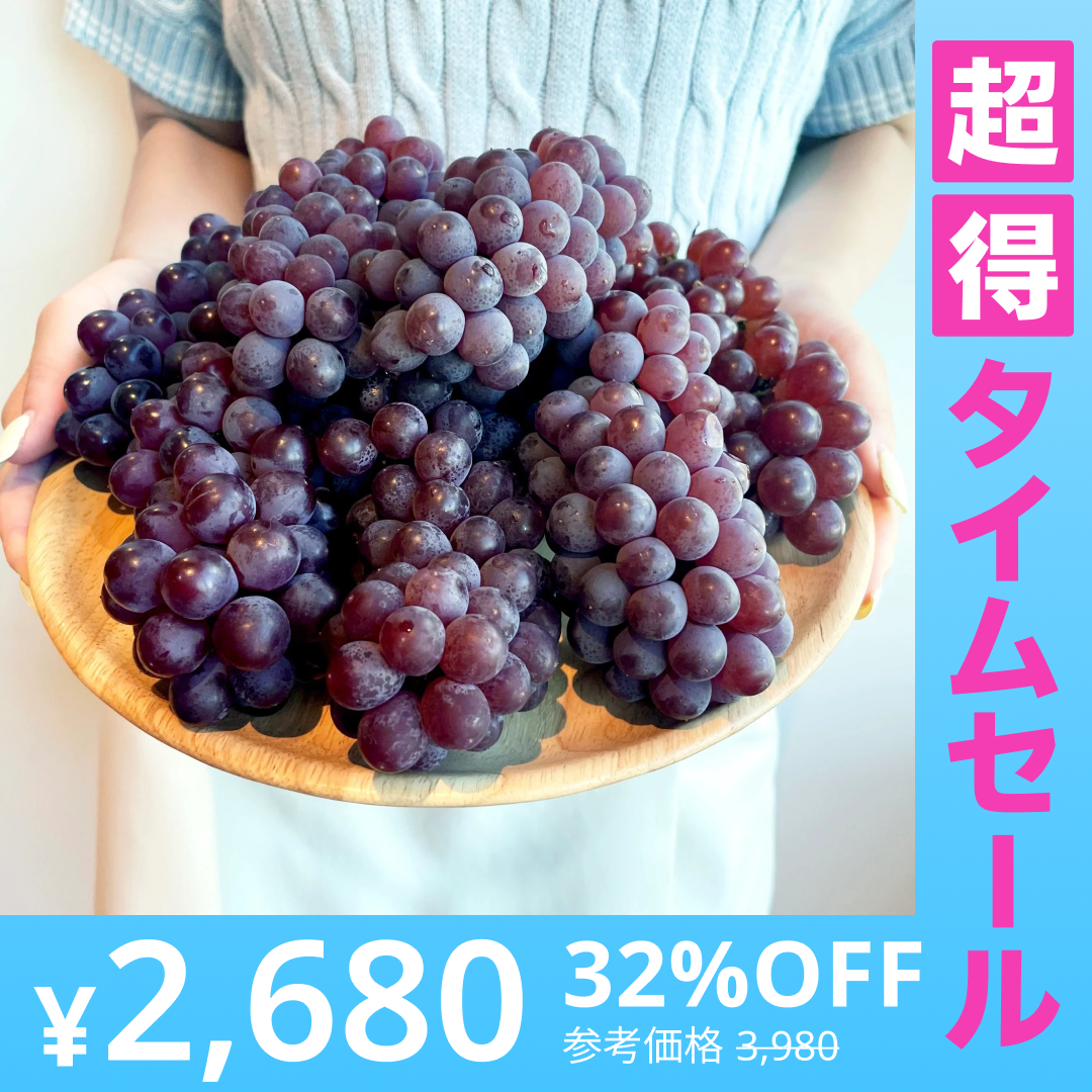 【超得ハイパーSALE】【山梨県産／秀品】デラウェア ぶどう 種なし 1kg（約9房／高糖度18度～23度）（JAふえふき）【ゲリラセール】