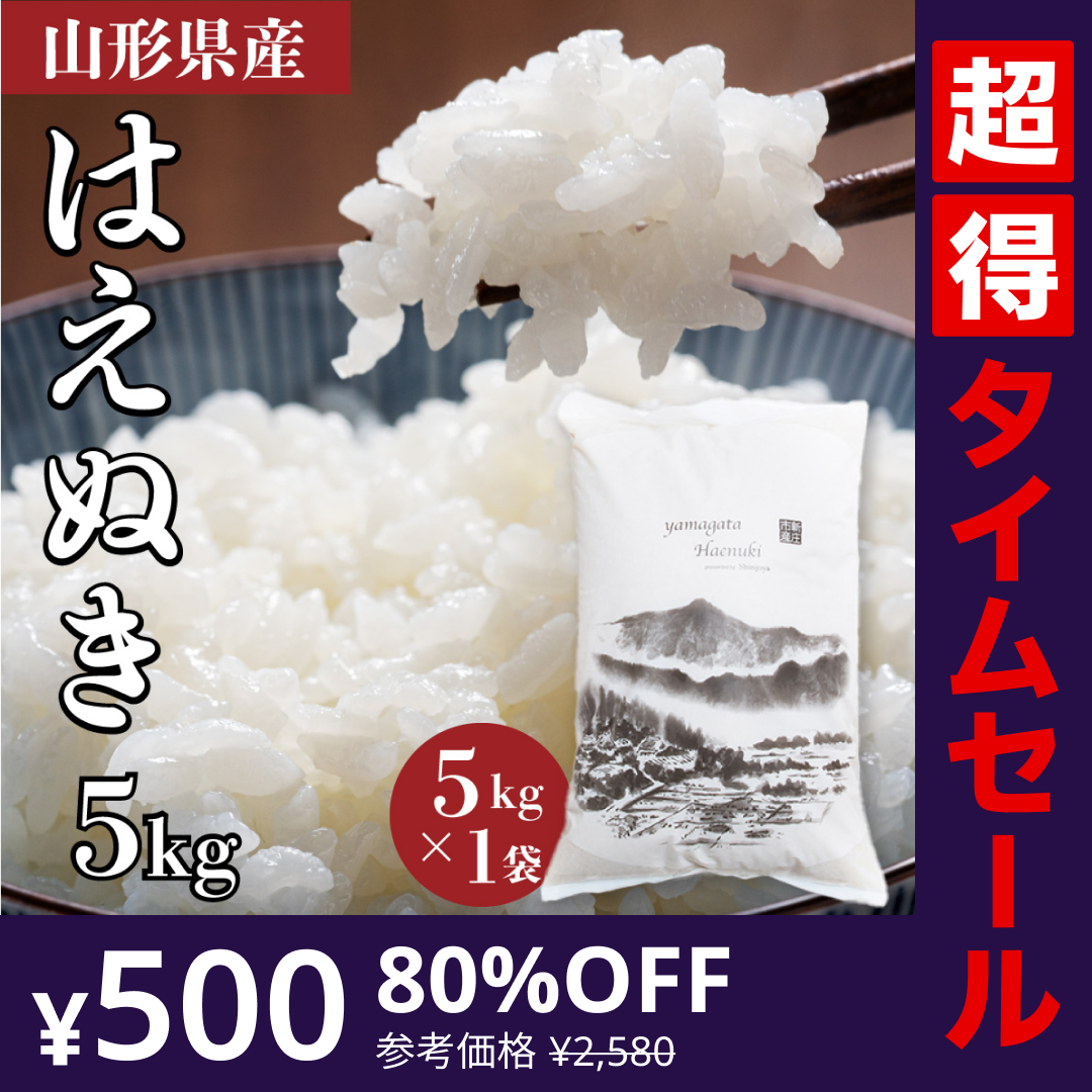 【完売御礼】【超得ハイパーSALE】＜５キロ＞山形県産 令和4年度 新米 はえぬき