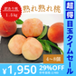 【訳あり大特価】桃 約1.5kg(4〜8玉) 山梨県産 家庭用【予約/6月中旬〜9月上旬順次出荷】【超得ハイパーSALE】