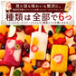 アイス ギフト 【果物の宝石箱のようなまるごと贅沢！】 果肉いっぱいどきゅんと アイスキャンディ― 6種から3種選べる 合計15本セット 【 冷凍便 フルーツ アイスクリーム 詰め合わせ 福袋 かわいい 内祝い お取り寄せ スイーツ 氷菓 】