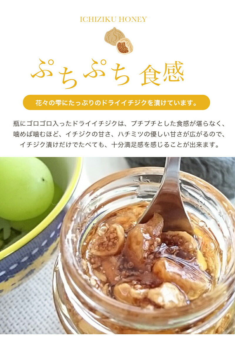 国産 はちみつ イチジク漬け 天然ハチミツ 70g 国産蜂蜜 瓶詰 非加熱 イチジク入り 純粋はちみつ ギフト
