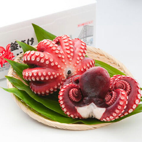 明石市特産品 蛸　釜あげ明石だこ（大1尾 約800ｇ）