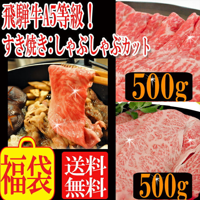 飛騨牛A５等級ロース500g+モモ500g