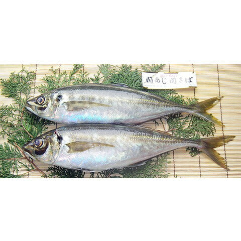 大分のブランド魚 「関あじ・関さば一夜干しセット（関あじ2尾・関さば1尾 / 計3尾）」