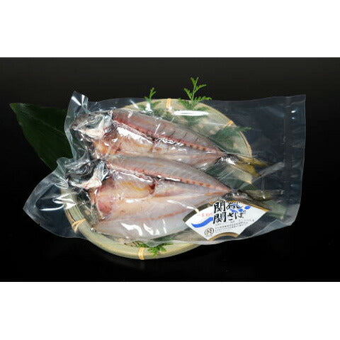 大分のブランド魚 「関あじ・関さば一夜干しセット（関あじ2尾・関さば1尾 / 計3尾）」