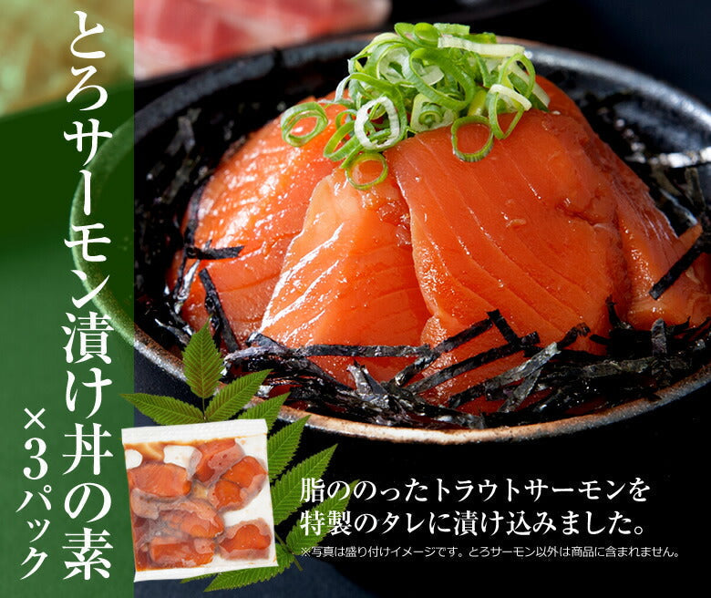 【3人シェア買いでお得】海鮮丼 15食 セット（マグロ漬け3p・ネギトロ3P+サーモンネギトロ3p+トロサーモン3p+イカサーモン3P）