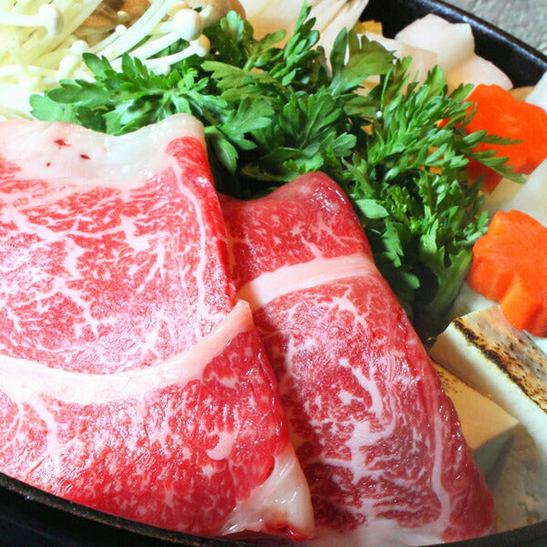 【那珂川町名産品】栃木県産栃の木黒牛肩ローススライス 500ｇ入り
