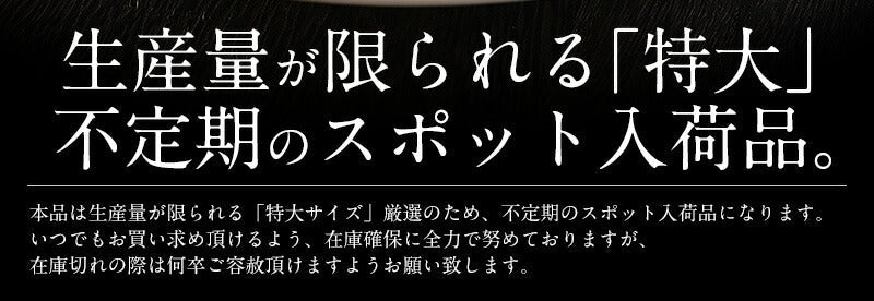 【超得ハイパーSALE】特大訳ありホタテ！ ホタテ ほたて 貝柱 特大 1kg 訳あり（割れ 欠け サイズ不揃い） ほたて貝柱 ホタテ貝柱 ほたて 帆立 海鮮［送料無料］ 母の日 プレゼント ギフト  母の日思いの 健康 実用的 父の日 子供【エコ得】