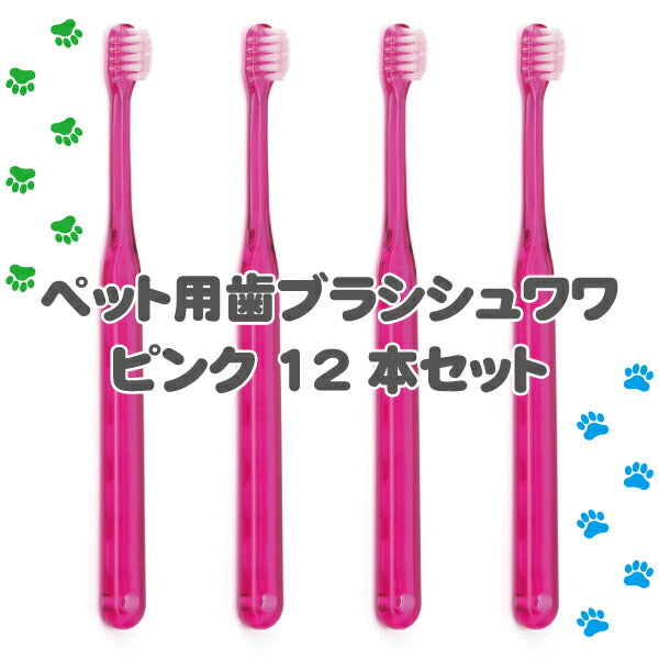【3人シェア買いでお得】犬用 歯ブラシ / Ci シュワワ / ピンク /12本セット【Ciメディカル 歯ブラシ】