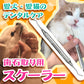 【歯石取り】【歯垢取り】【ヤニ取り】スケーラー(ホータイプ) 愛犬や愛猫の歯石取りに便利《今なら犬用 猫用 歯ブラシ/Ci シュワワ/1本おまけ付》【メール便送料無料】