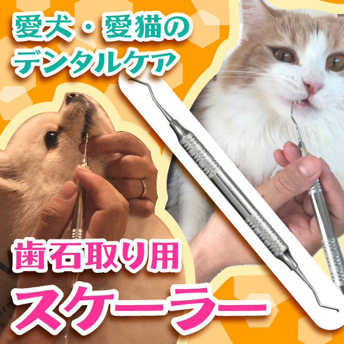 【歯石取り】【歯垢取り】【ヤニ取り】スケーラー(ホータイプ) 愛犬や愛猫の歯石取りに便利《今なら犬用 猫用 歯ブラシ/Ci シュワワ/1本おまけ付》【メール便送料無料】