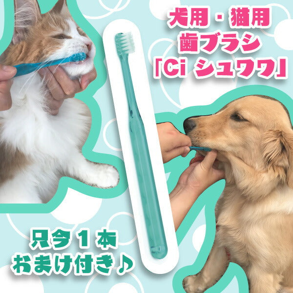 【歯石取り】【歯垢取り】【ヤニ取り】スケーラー(ホータイプ) 愛犬や愛猫の歯石取りに便利《今なら犬用 猫用 歯ブラシ/Ci シュワワ/1本おまけ付》【メール便送料無料】