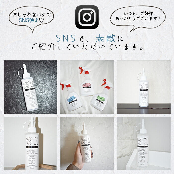 超強力カビ取り剤 業務用 500ml カビラボ (ソフトタイプ 木材 布製品 畳 カビラボ)