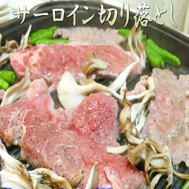 熟成牛 サーロイン ブロック 切り落とし500g