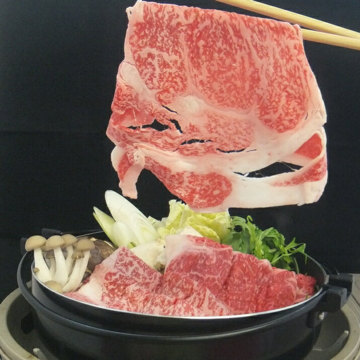飛騨牛A５等級ロース200g+モモ200g